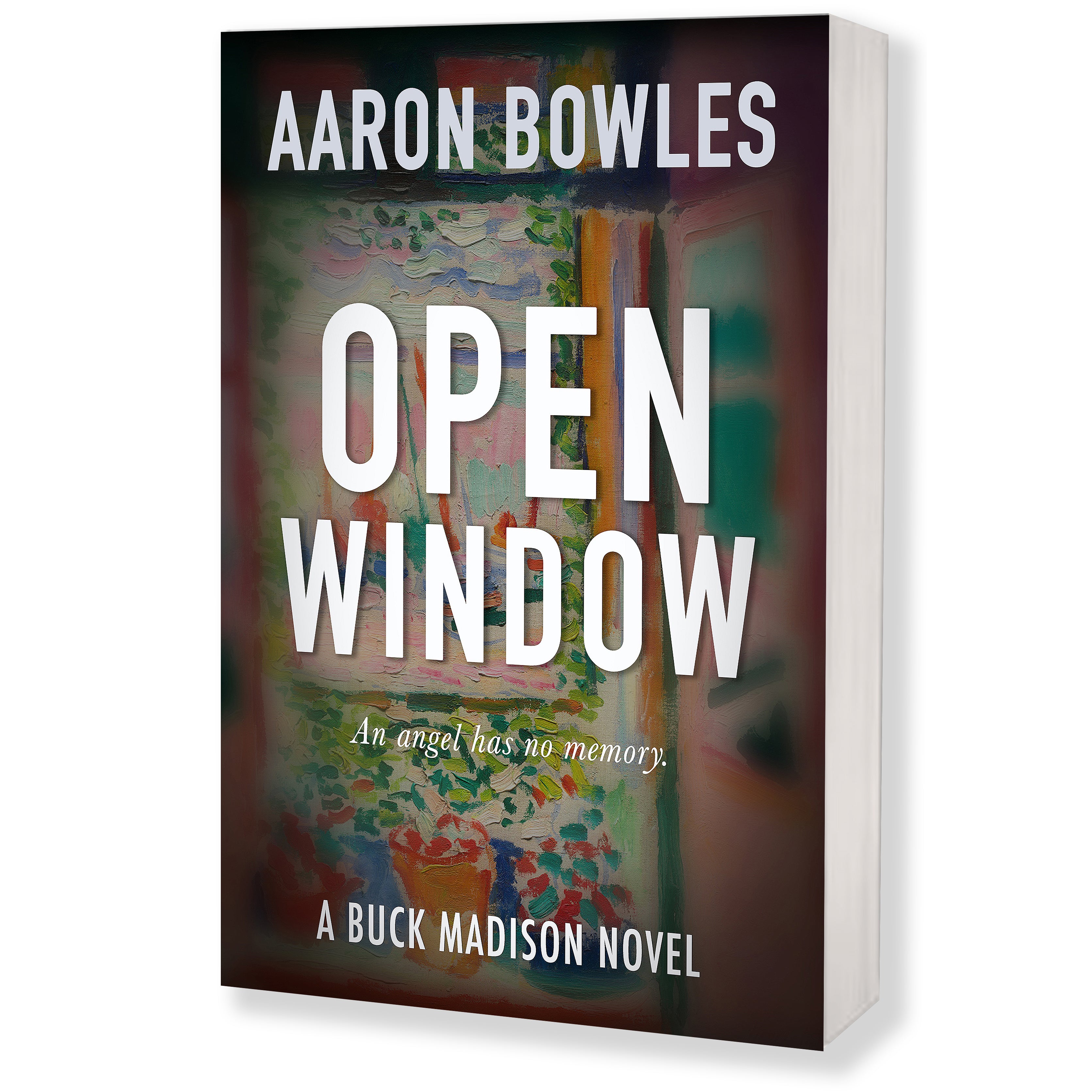 OPEN WINDOW, PAPERBACK BOOK